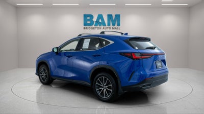 2024 Lexus NX 350 Premium
