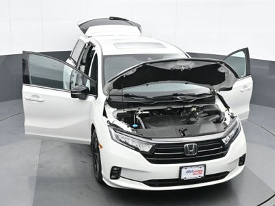 2023 Honda Odyssey Sport